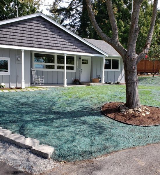 A front yard with fresh hydroseed applied to the lawn, a tree surrounded by mulch, and a gray house in the background.